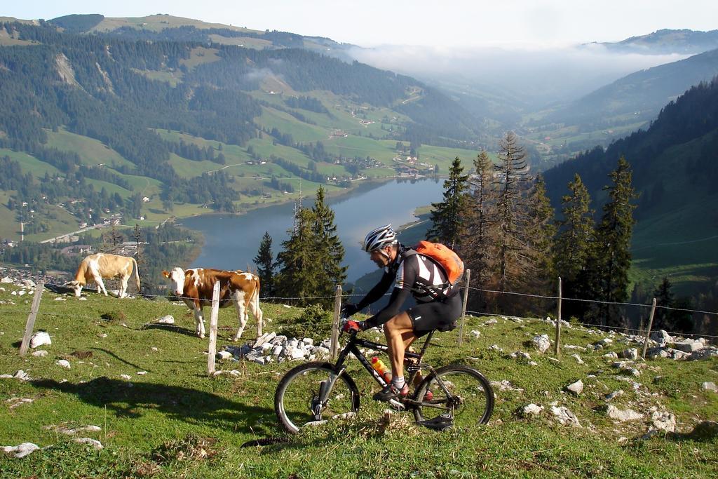 Hostellerie Am Schwarzsee Bad-Schwarzsee Exteriör bild