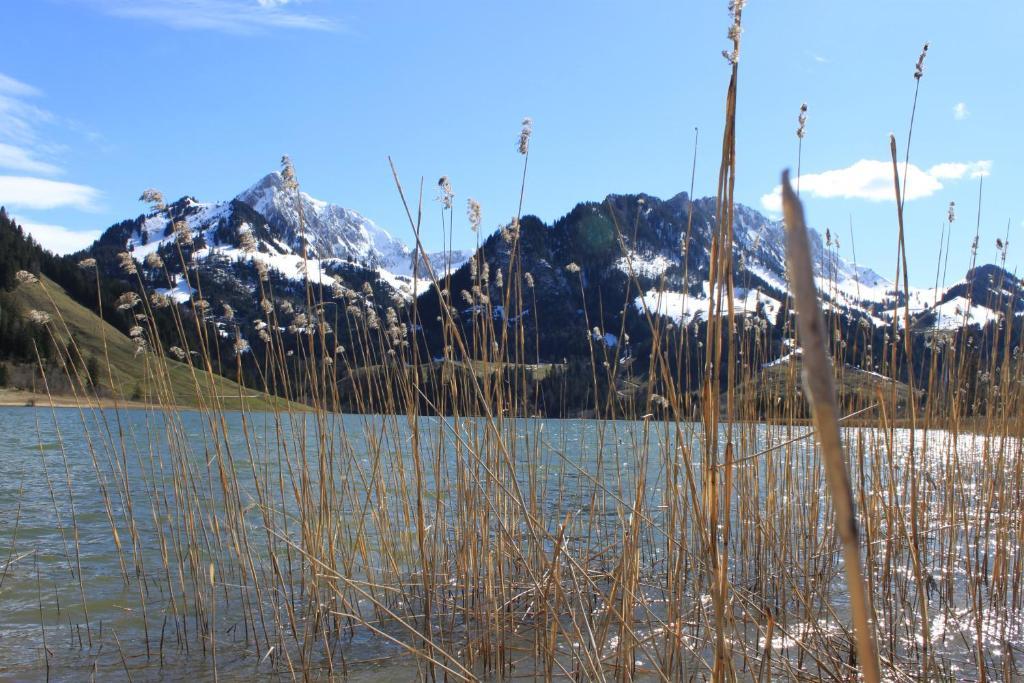Hostellerie Am Schwarzsee Bad-Schwarzsee Exteriör bild